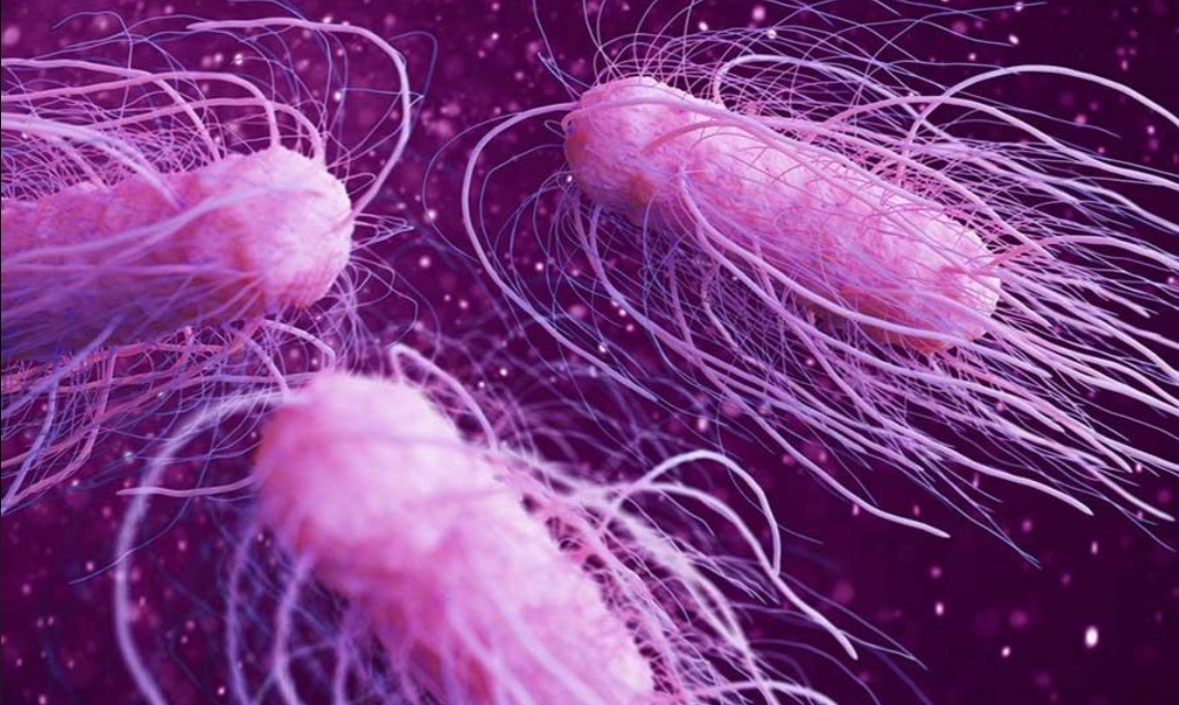 خطرناک‌ترین باکتری‌های موجود در آب‌های لوله‌کشی